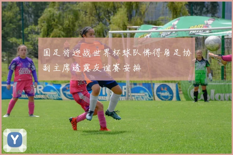 国足将迎战世界杯球队佛得角足协副主席透露友谊赛安排