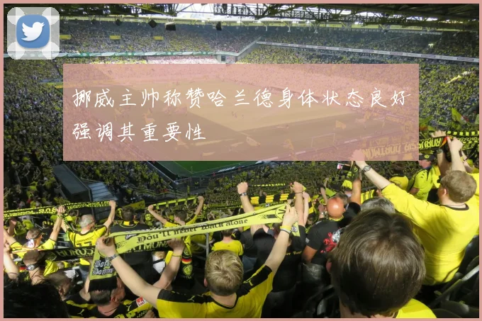 挪威主帅称赞哈兰德身体状态良好强调其重要性