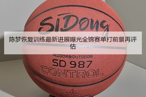 陈梦恢复训练最新进展曝光全锦赛单打前景再评估